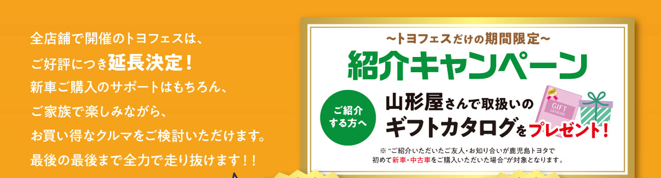 トヨフェス