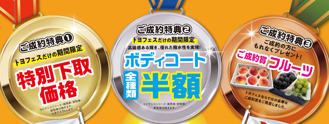 トヨフェス