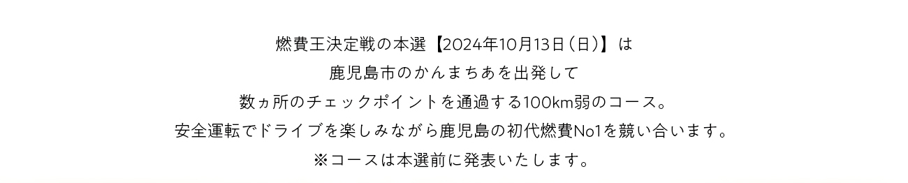 燃費王2024