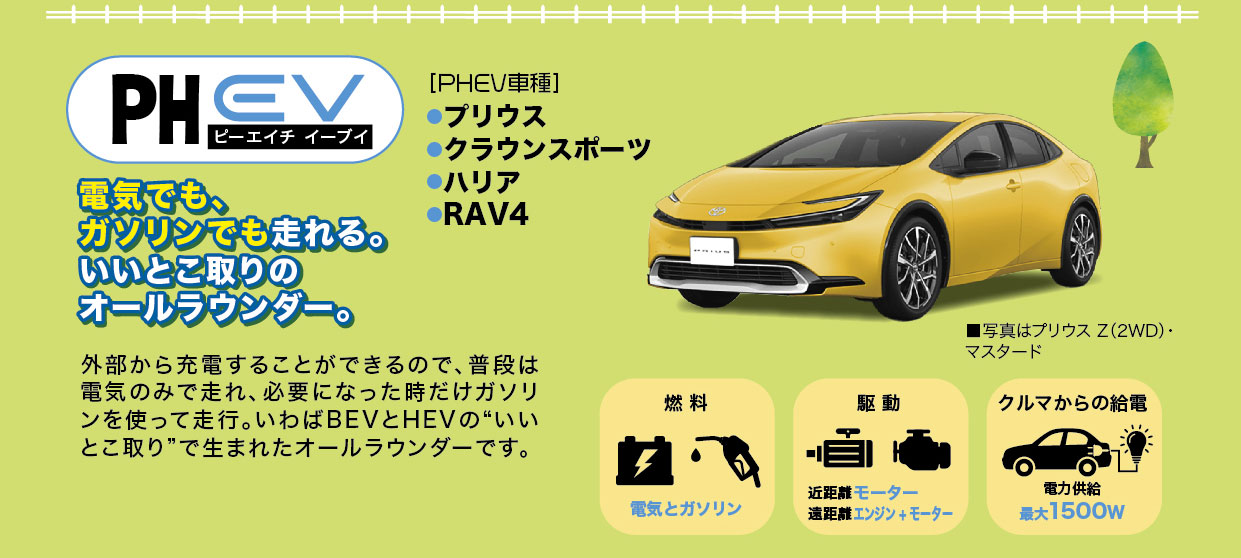 セーフティアップフェア