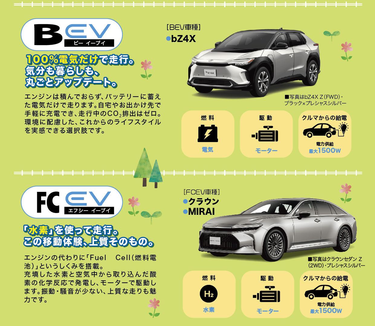 セーフティアップフェア