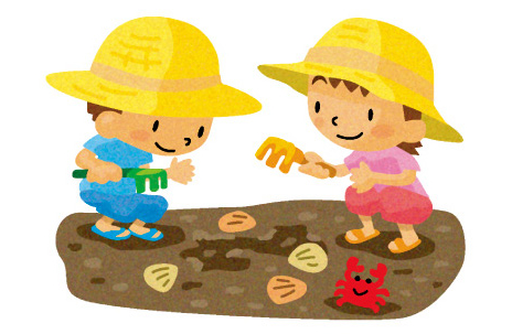 初夏の柏原海岸で潮干狩り