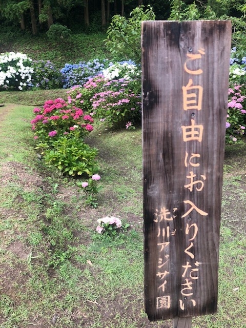 素敵なお知らせ 素敵なお知らせ