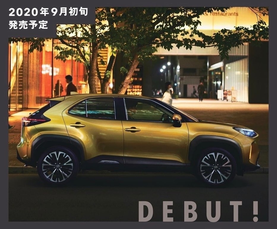 ニューフェイス登場か