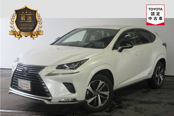 91.NX300h