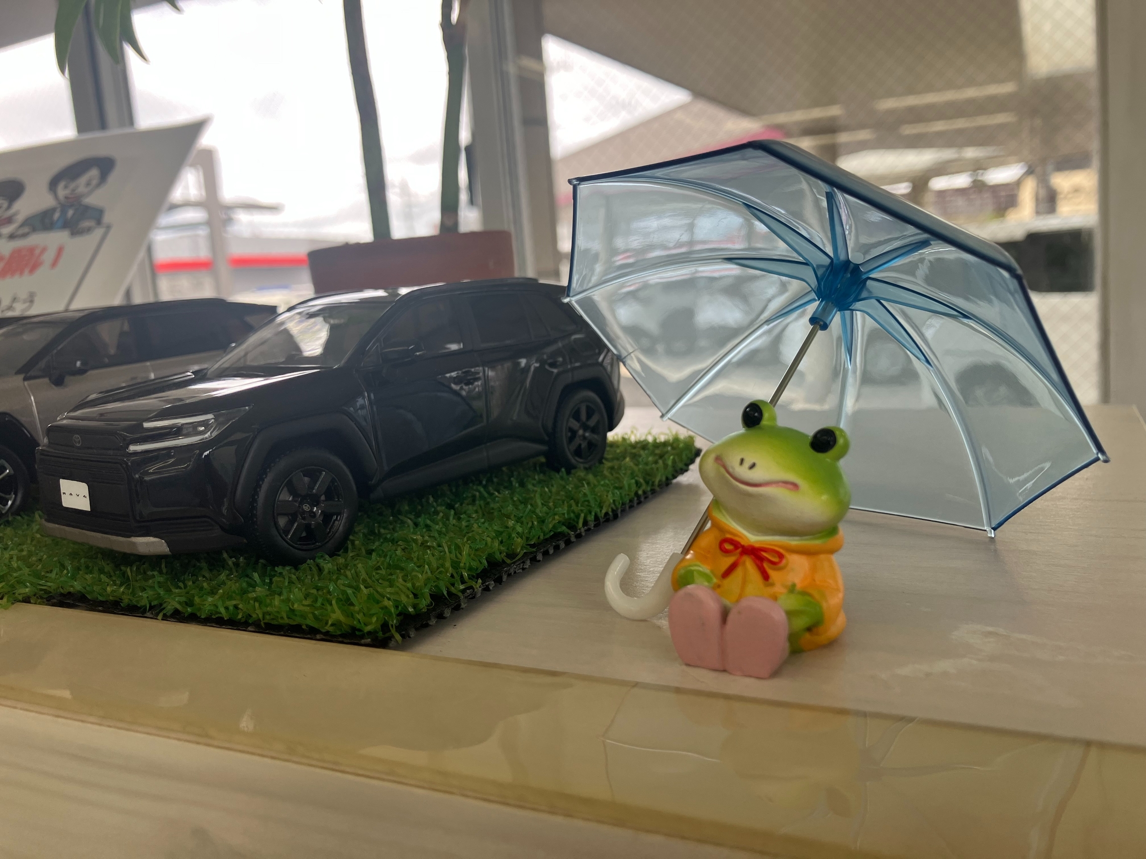 6月もどうぞよろしくお願いいたします😉