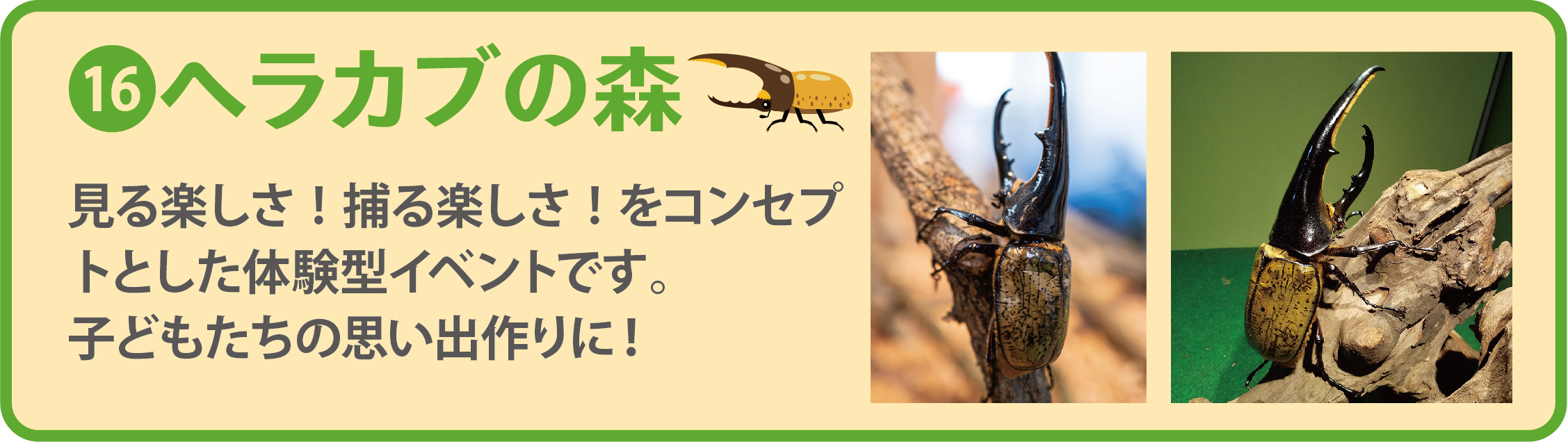 16 ヘラカブの森