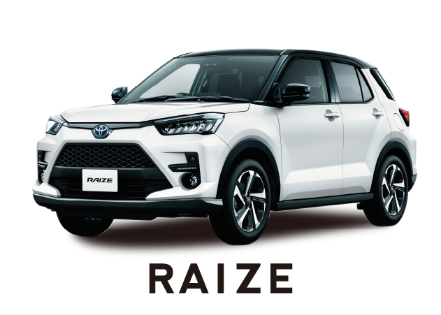 RAIZE