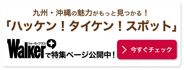 KyushuWalker